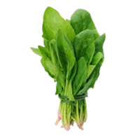 Leafy and Seasonings