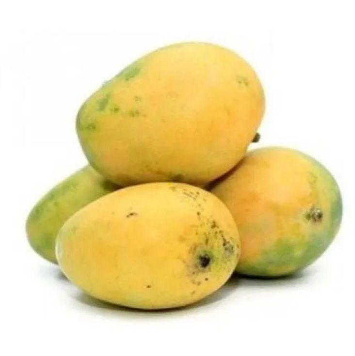 Organically grown Banganpalli Mango