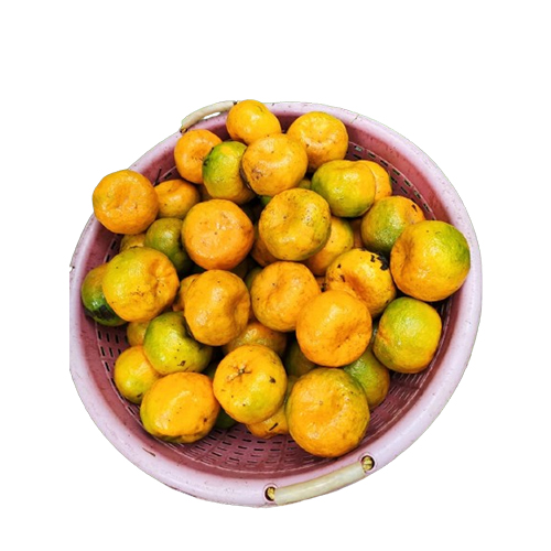 Coorg Oranges