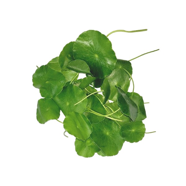 Organic Brahmi Leaves (Vallarai)